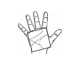A hand with short, square palms and short fingers