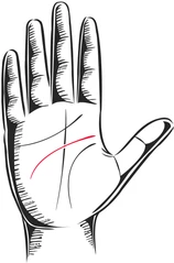 A hand with the head line highlighted